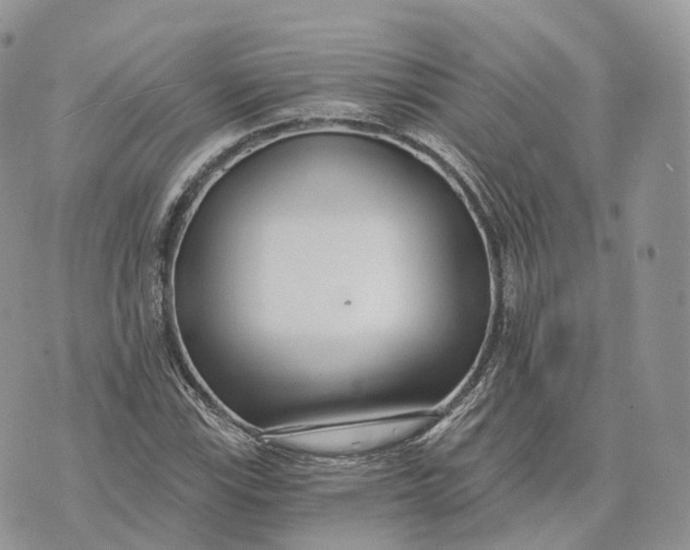 X0000072951115200608111619