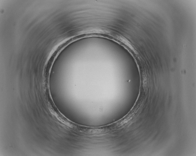 X0000072951116200608111619