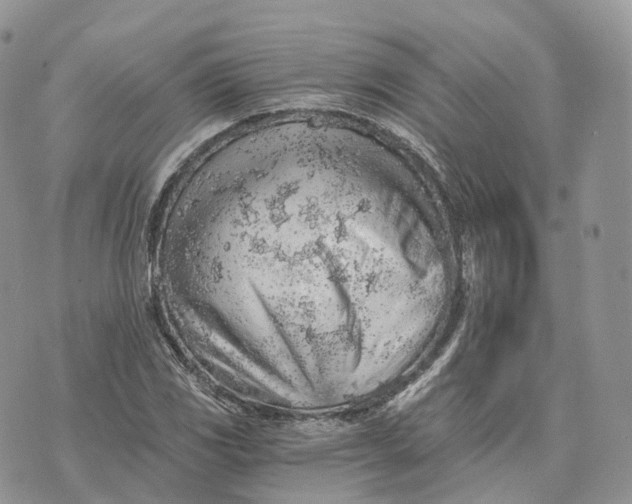 X0000072951117200608111619