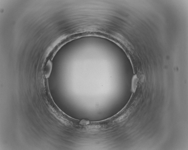 X0000072951118200608111619