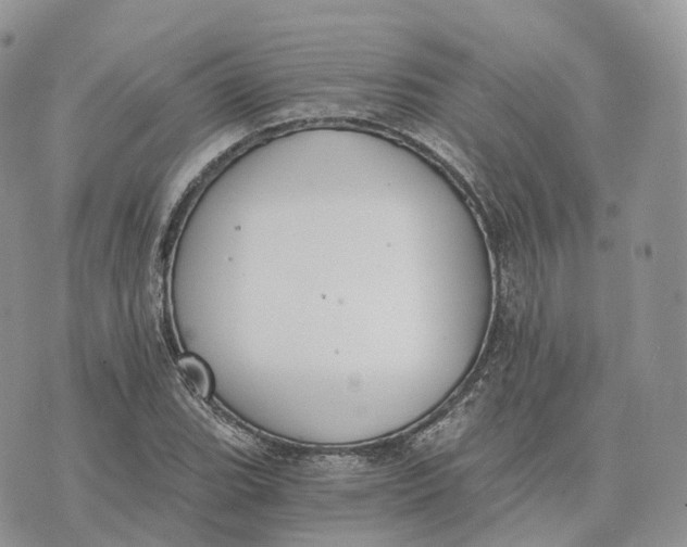 X0000072951119200608111619