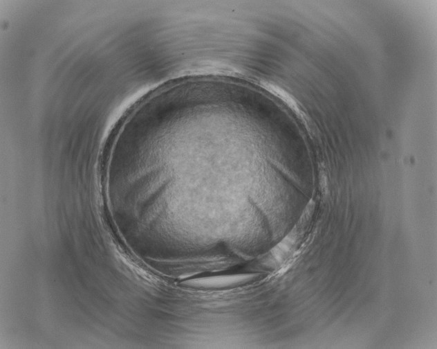 X0000072951120200608111619