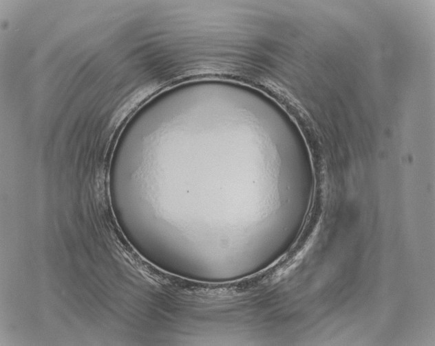 X0000072951121200608111619