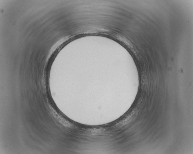 X0000072951122200608111619