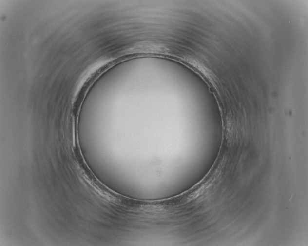 X0000072951123200608111619