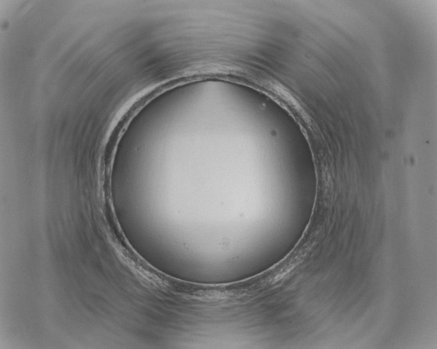 X0000072951124200608111619