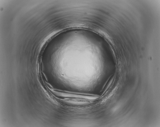 X0000072951125200608111619