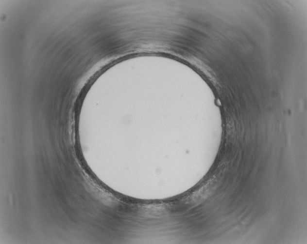 X0000072951126200608111619