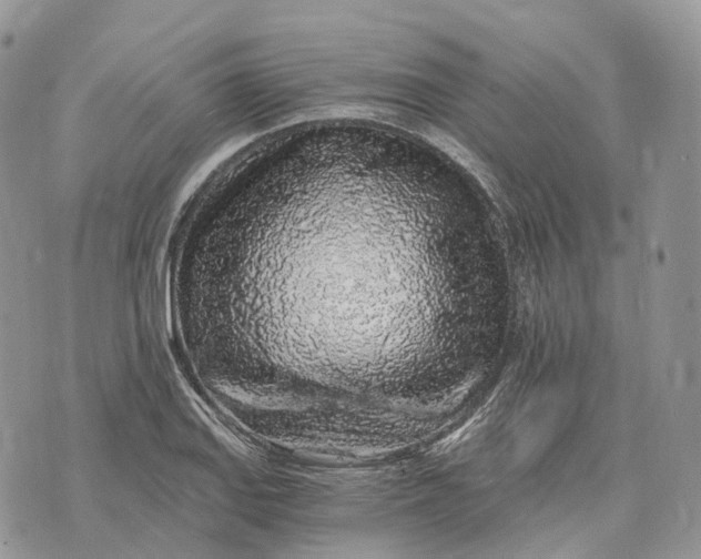 X0000072951127200608111619