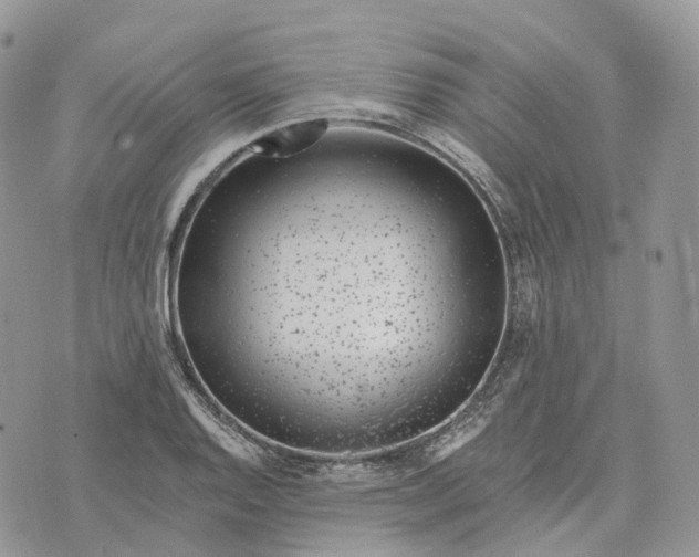 X0000072951128200608111619