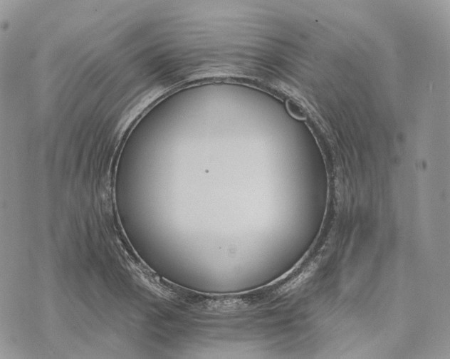 X0000072951129200608111619