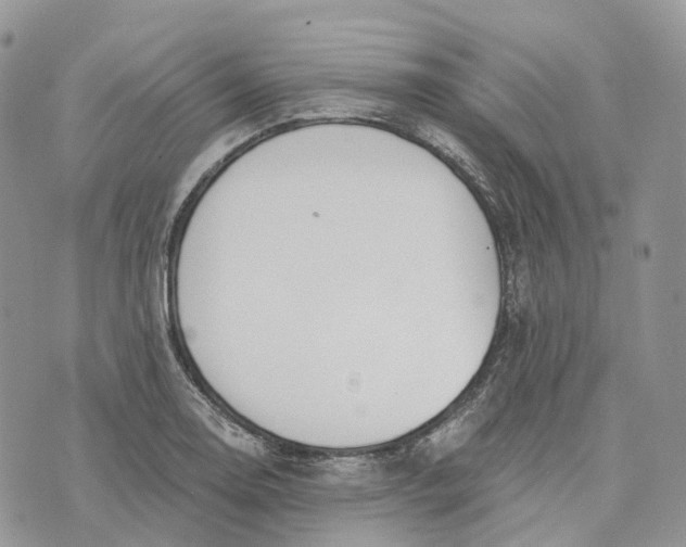 X0000072951130200608111619