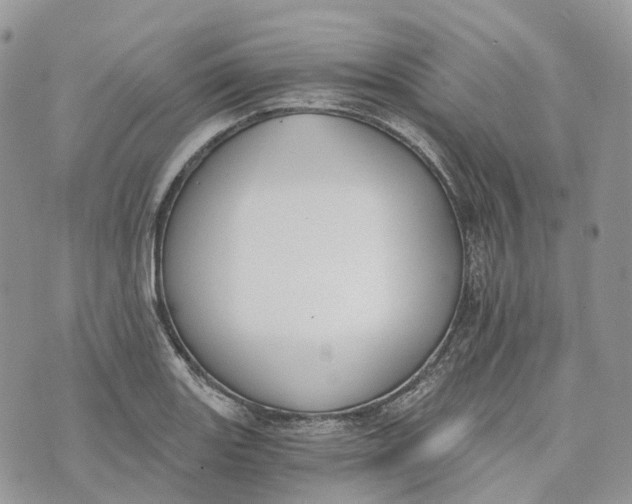 X0000072951131200608111619