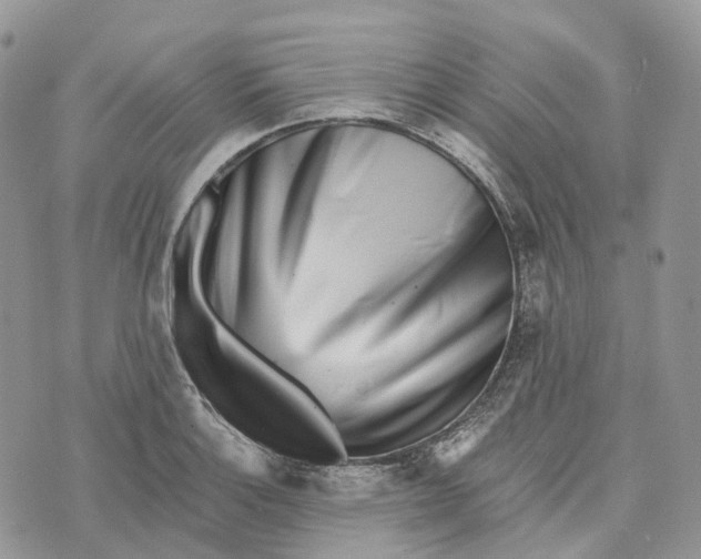 X0000072951132200608111619