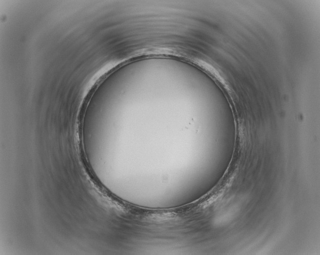 X0000072951133200608111619