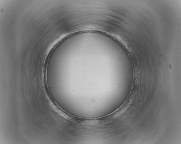 X0000072951134200608111619