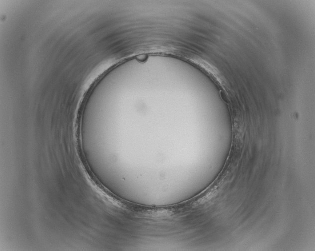 X0000072951135200608111619