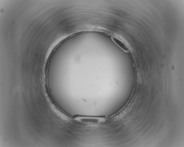 X0000072951136200608111619