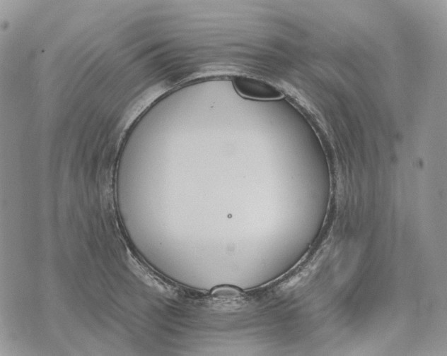 X0000072951137200608111619