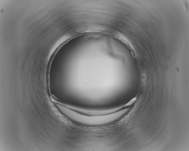 X0000072951138200608111619