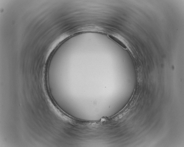 X0000072951139200608111619