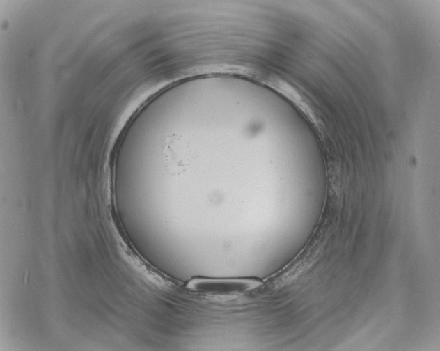 X0000072951140200608111619