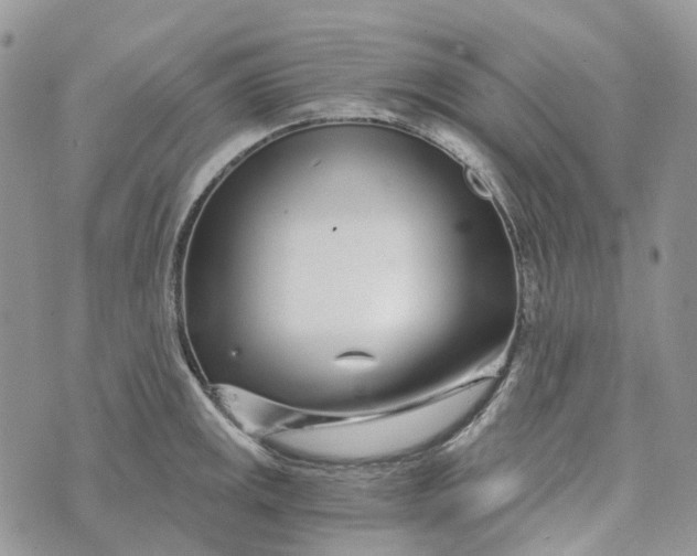 X0000072951141200608111619