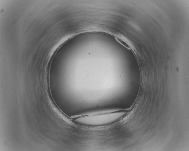 X0000072951142200608111619