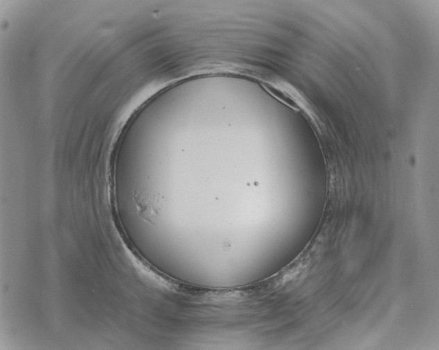 X0000072951143200608111619