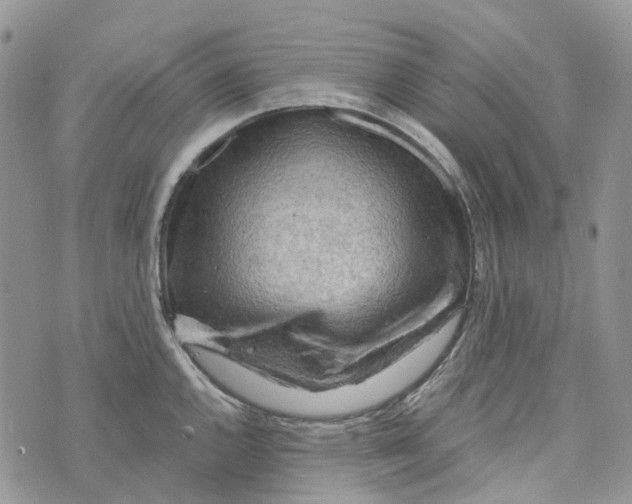 X0000072951144200608111619