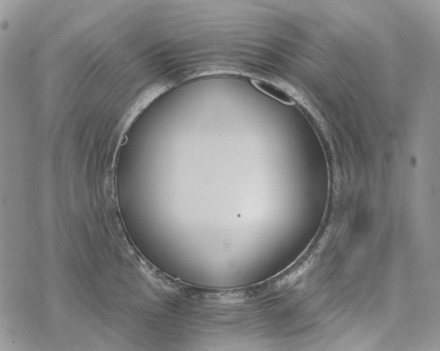 X0000072951145200608111619