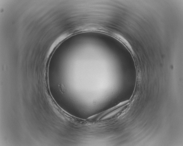 X0000072951146200608111619