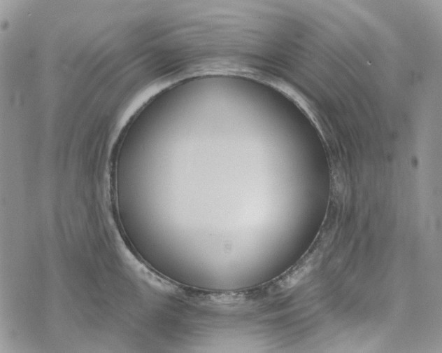 X0000072951147200608111619