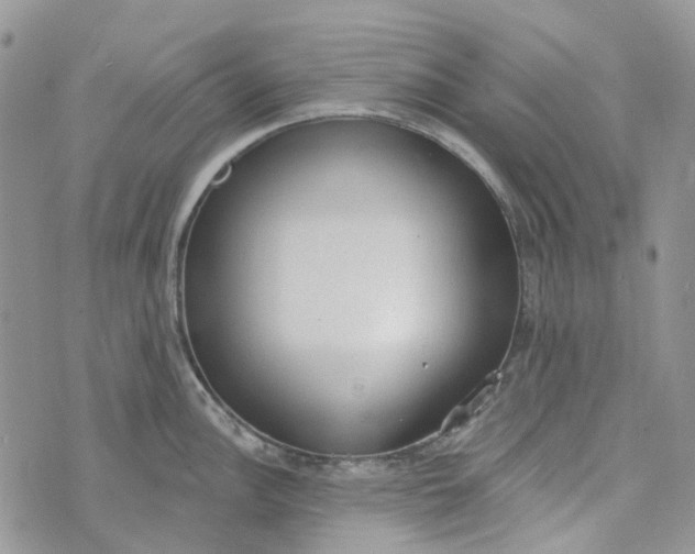 X0000072951148200608111619