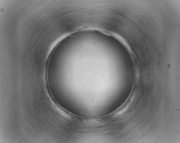 X0000072951149200608111619