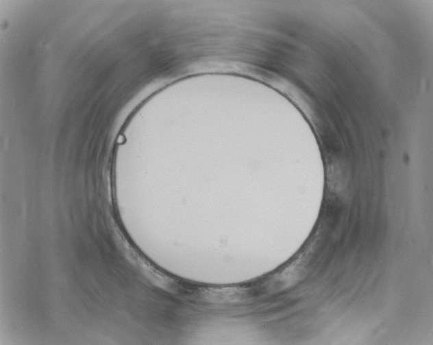 X0000072951150200608111619