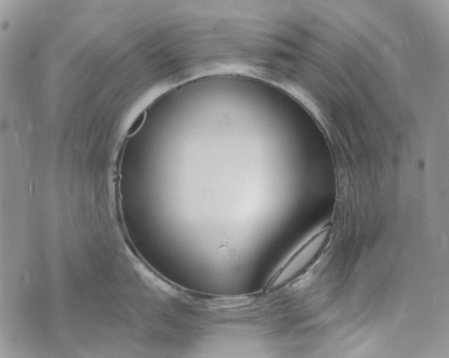 X0000072951151200608111619