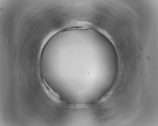 X0000072951152200608111619