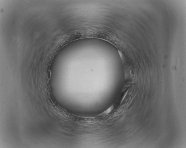 X0000072951153200608111618