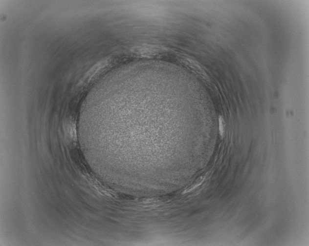 X0000072951155200608111618