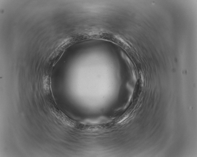 X0000072951156200608111618