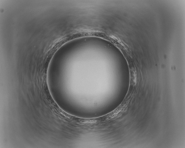 X0000072951157200608111618