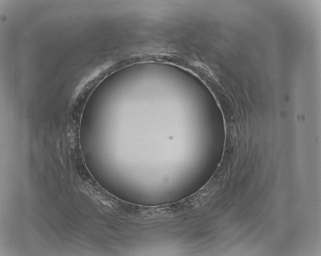 X0000072951159200608111618