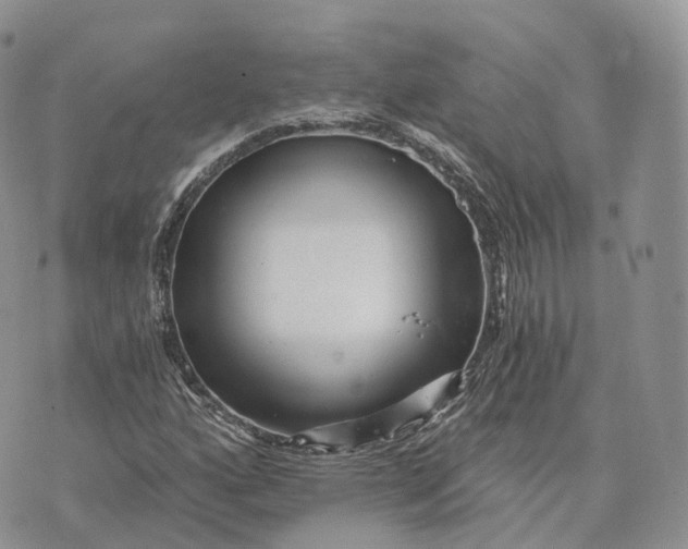 X0000072951160200608111618