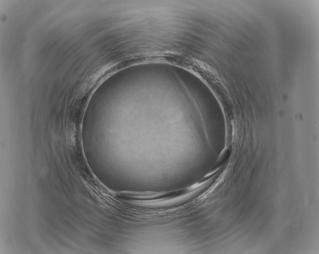 X0000072951161200608111618