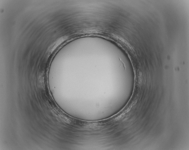 X0000072951162200608111618