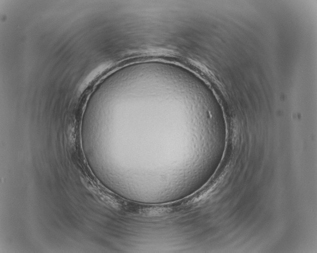 X0000072951163200608111618