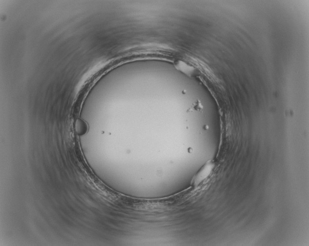 X0000072951164200608111618