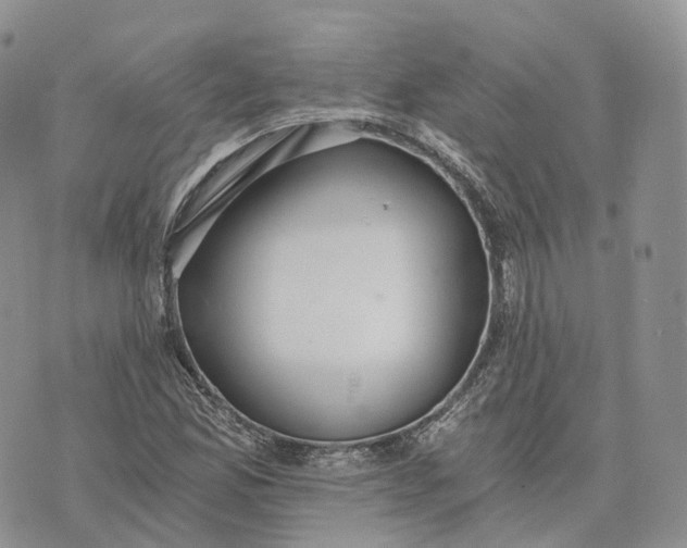 X0000072951165200608111618