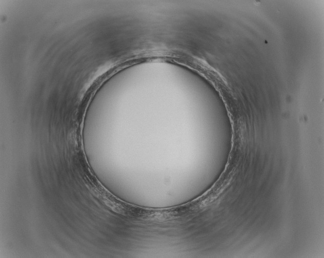 X0000072951166200608111618